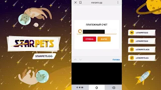 КАК ПОПОЛНИТЬ БАЛАНС НА STARPETS?