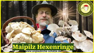 Voller Pilzkorb Korb! Massenvorkommen der Maipilze  im Pilz Wald! Pilze suchen April 2024