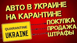 Штрафы для евроблях, покупка-продажа бу авто, растаможка: правила карантина 2020