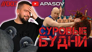 СУРОВЫЕ БУДНИ: Гордон во власти. Клопы атакуют флот. Блудливый священник. Спортивные голуби / АПАСОВ