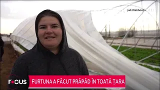 Furtuna a făcut prăpăd în toată țara