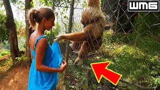 100 INCREDIBLE MOMENTS CAUGHT ON CAMERA! #22
