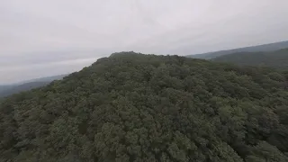 Foggy Mountain Mission - RAW ReelsteadyGO