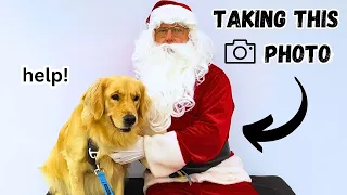 Golden Retriever Reacts to Santa || Vlogmas Day 16