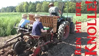 Kartoffeln selber anbauen mit Rau Kombi und Fendt Schmalspur | Einsatz für die ganze Familie!