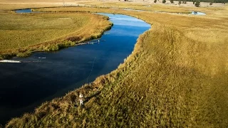 Oregon Spring Creek Fishing - *Yamsi Trailer* by Todd Moen