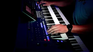 Monja Instrumental Cover by Sven Rosowski