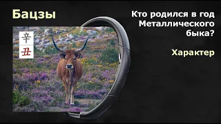 Бацзы: Кто родился в год Металлического быка? Характер.