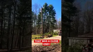 Huge Pine Tree Cut Down Leaning Towards My Garage (Scary-Moment)