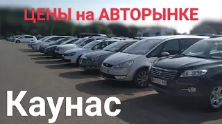 Обзор цен на авто в Литве | Каунас