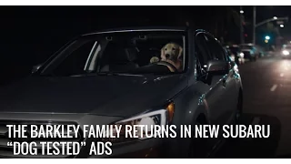 Puppy - Subaru Commercial with The Barkley's