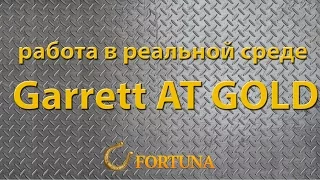 Garrett AT Gold