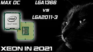 ШОК😱 Актуален ли ещё LGA1366 в 2021? Разогнал Xeon E5649🔥 и сравнил с E5 2620v3. Результаты удивили!