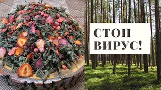 ФЕРМЕНТИРОВАННЫЙ ЧАЙ! РЕЦЕПТ ЧАЯ, уничтожившего большинство вирусов в моем организме!