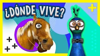 ¿Dónde vive el Pavo? Percherón, La Oveja y El Pato en La Granja de Zenón | A Jugar