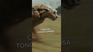 Transformers Rise of the Beasts Cheetor Voice Actor Revealed! via @transformersmovie on TikTok