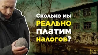 Сколько мы РЕАЛЬНО платим налогов?