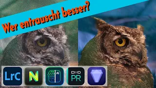 Wer entrauscht am besten?  ||  Praxis-Vergleich: Lightroom, Topaz, DxO, ON1, Luminar Neo