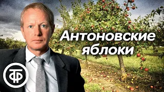 Альберт Филозов читает рассказ "Антоновские яблоки" Ивана Бунина (1988)