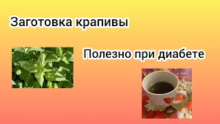 Жизнь с диабетом/заготовка крапивы для витаминных отваров полезно при диабете