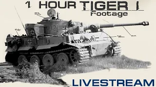 Almost an Hour of Tiger I footage - 30k Special Livestream ...