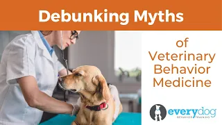 DEBUNKING common dog training myths! (with a certified Veterinary Behaviorist)