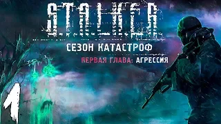 S.T.A.L.K.E.R. Сезон катастроф: Агрессия #1. Проект "Стрела"