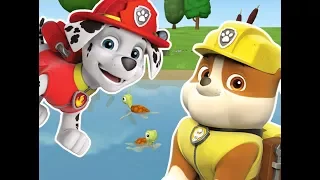 Щенячий патруль: Спасение черепашек (PAW Patrol Tortoise rescue)