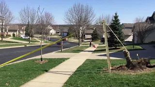 Pulling a Stump Using a Truck and Mechanical Advantage