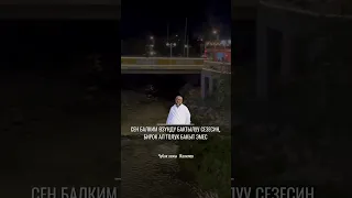 Устаз Чубак ажы Жалилов