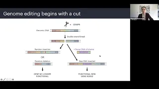 CRISPR: Rewriting DNA and the Future of Humanity