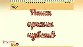 Наши органы чувств