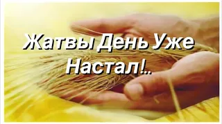 Жатвы День Уже Настал! #христианская# песня