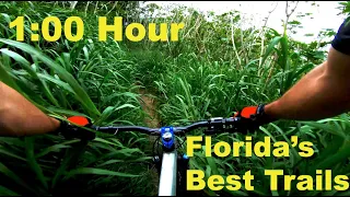 One Hour Of MTB POV Footage 4k // Virtual Cycling Florida's Best Trails