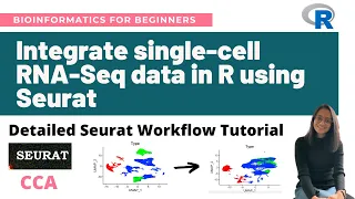 Integrate single-cell RNA-Seq datasets in R using Seurat (CCA) | Detailed Seurat Workflow Tutorial