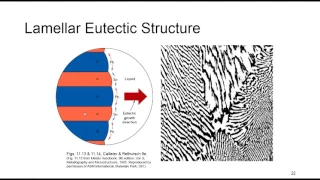 Session 22- Structure and properties of materials MSE230 -Phase Diagrams II