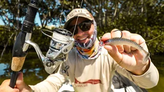SNOOK FISHING RESIDENTIAL CANALS WITH THIS PADDLETAIL!