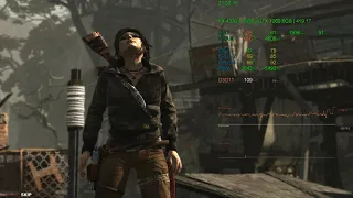 Tomb Raider (2013)  AMD FX-4330 @4.8GHz