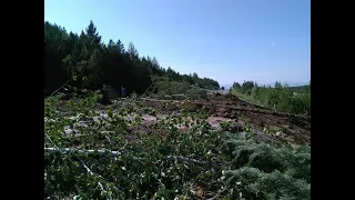 В Забайкалье на трассу "Амур" сошёл сель