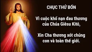 KINH LÒNG CHÚA THƯƠNG XÓT có lời kinh để cùng đọc 20 phút mỗi ngày - Lm.Giuse Trần Đình Long