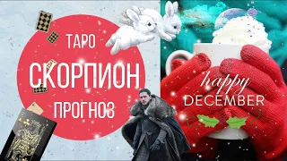 скорпион таро прогноз на декабрь 2019