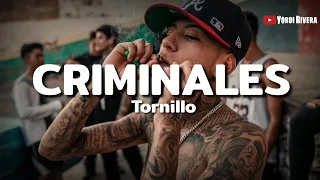 Tornillo - Criminales (LETRA) | Cactus