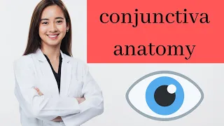Conjunctiva anatomy | conjunctiva of eye in hindi | conjunctiva parts | applied anatomy