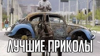 Лучшие приколы на дорогах 2015