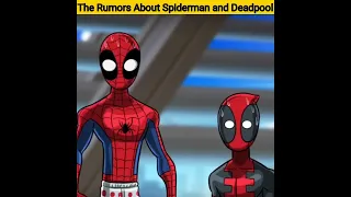 The Rumors About Spiderman and Deadpool 【 Superheroes Parody 】#avengers #shorts