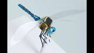 Scientists turned a dragonfly into a drone