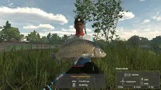 Fishing Planet - Sa invatam pescuitul la Crap(Dragulinee) Lectia nr.1