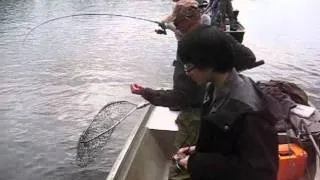 20110627 - Fishing And Bear Viewing At Wolverine Creek  /  Lake Clark National Park,  Alaska