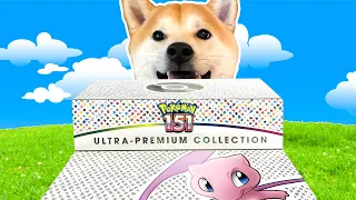 Opening a Pokemon 151 ULTRA PREMIUM COLLECTION Box!
