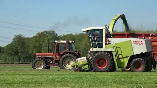 Gras hakselen en inkuilen bij melkveebedrijf Bosch met Claas, IHC en New Holland (deel 2/2) (2018)